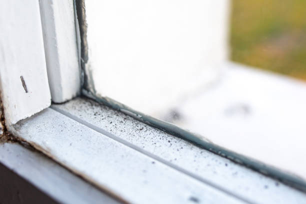 Mold Odor Removal Services in Fairfield Plantation, GA